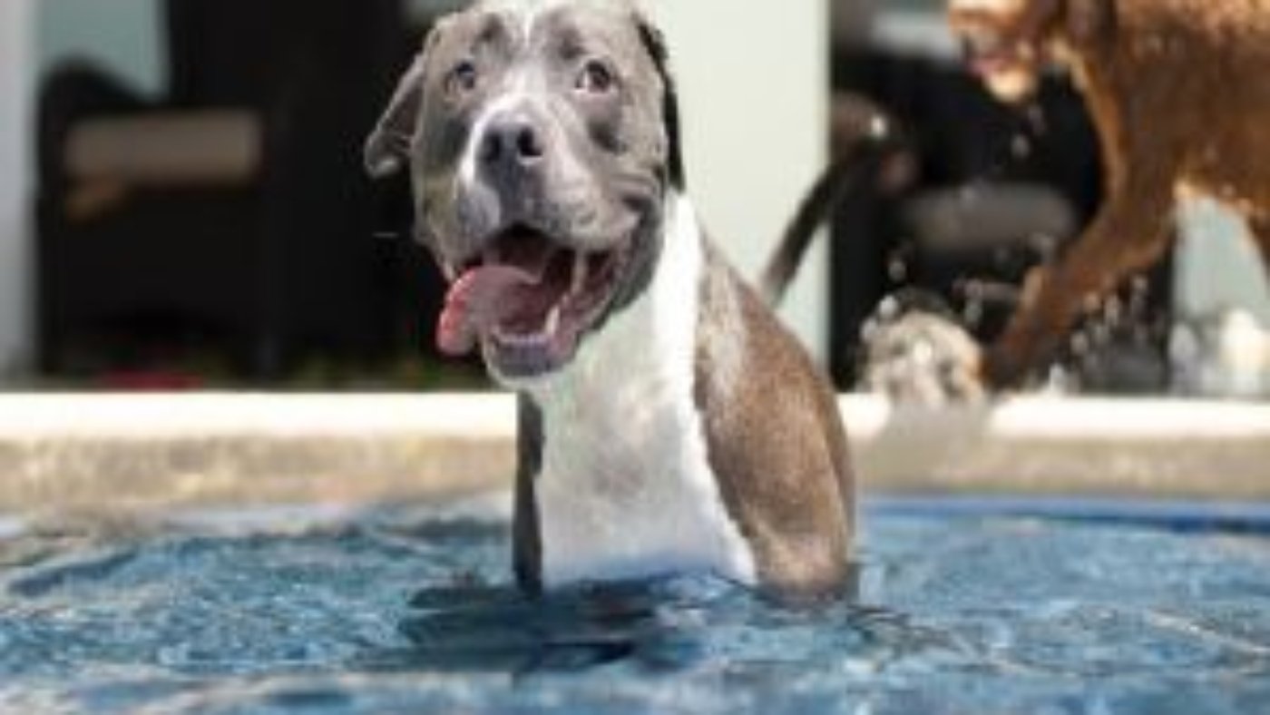 anthony-duran-eLUBGqKGdE4-unsplash-570x380